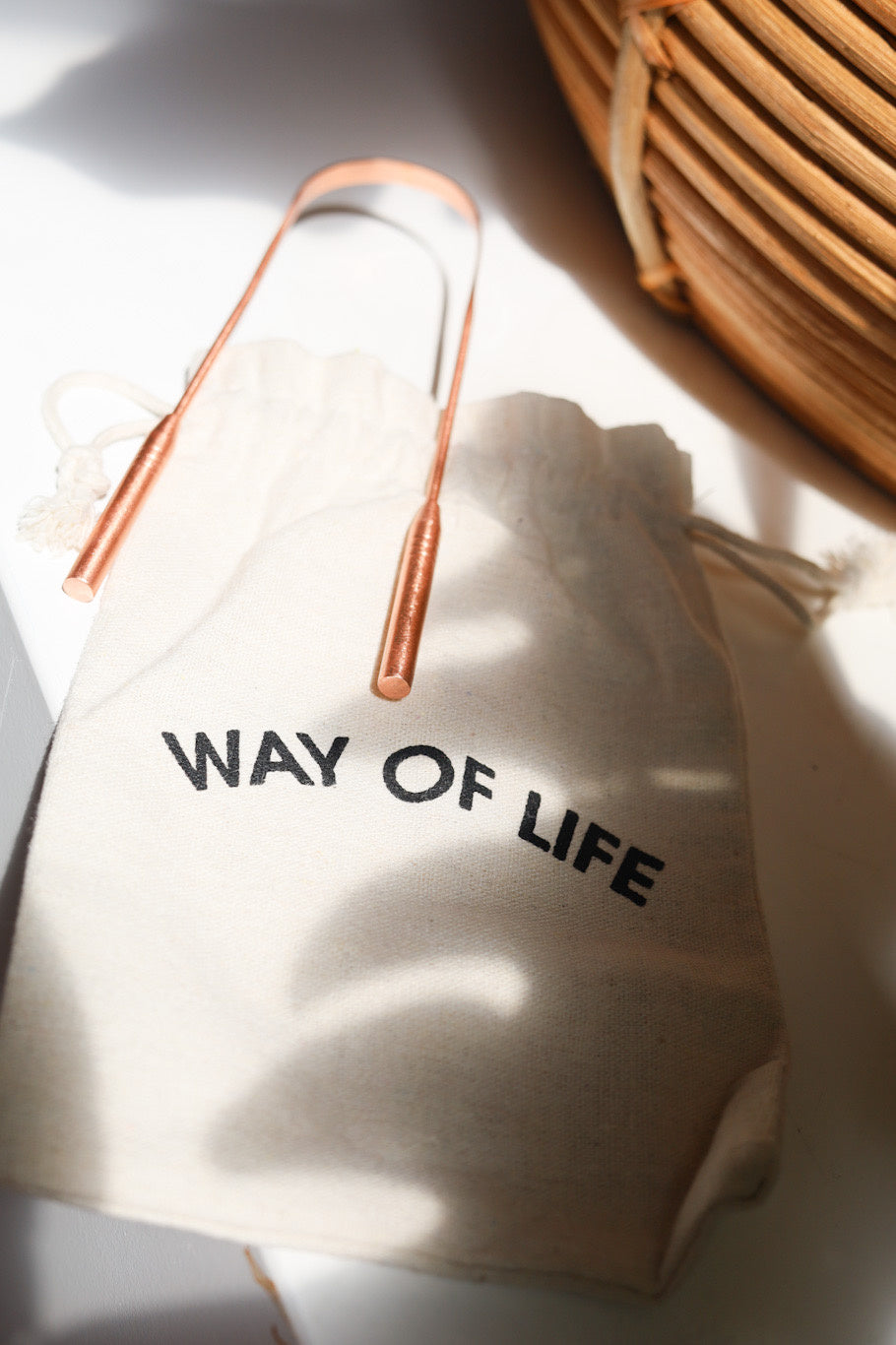 E2572CF2-38BE-4BF7-9586-96FB7FD30507